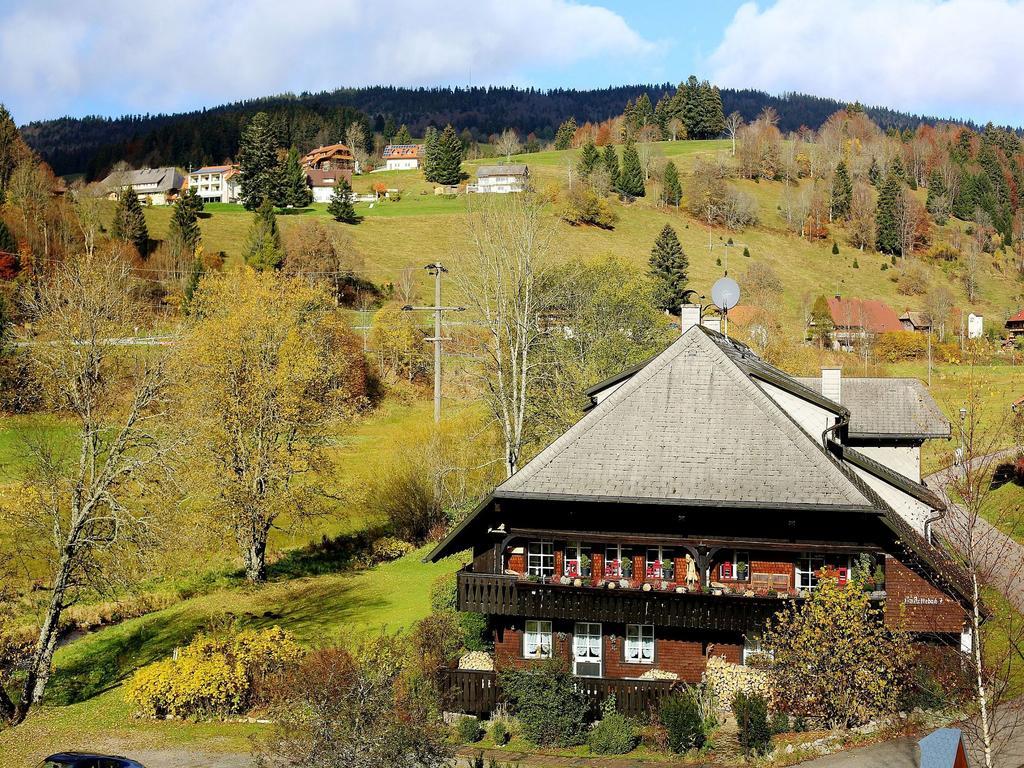 Haus Johanna Todtmoos Buitenkant foto